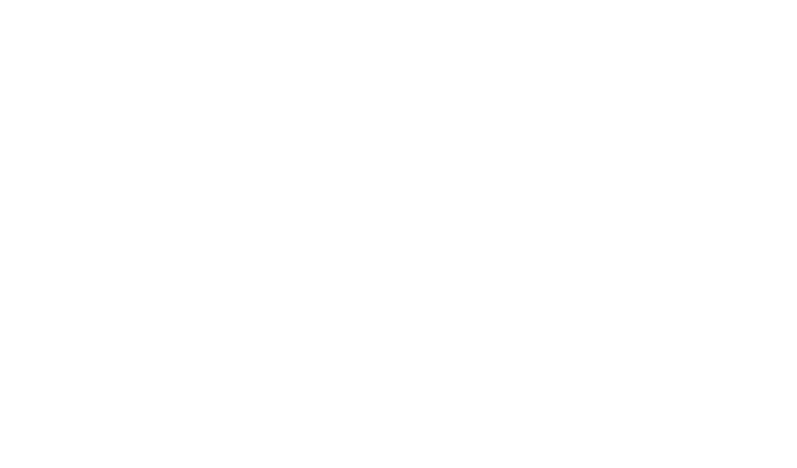 73